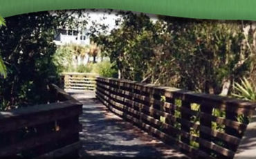 boardwalk leading to green gardens